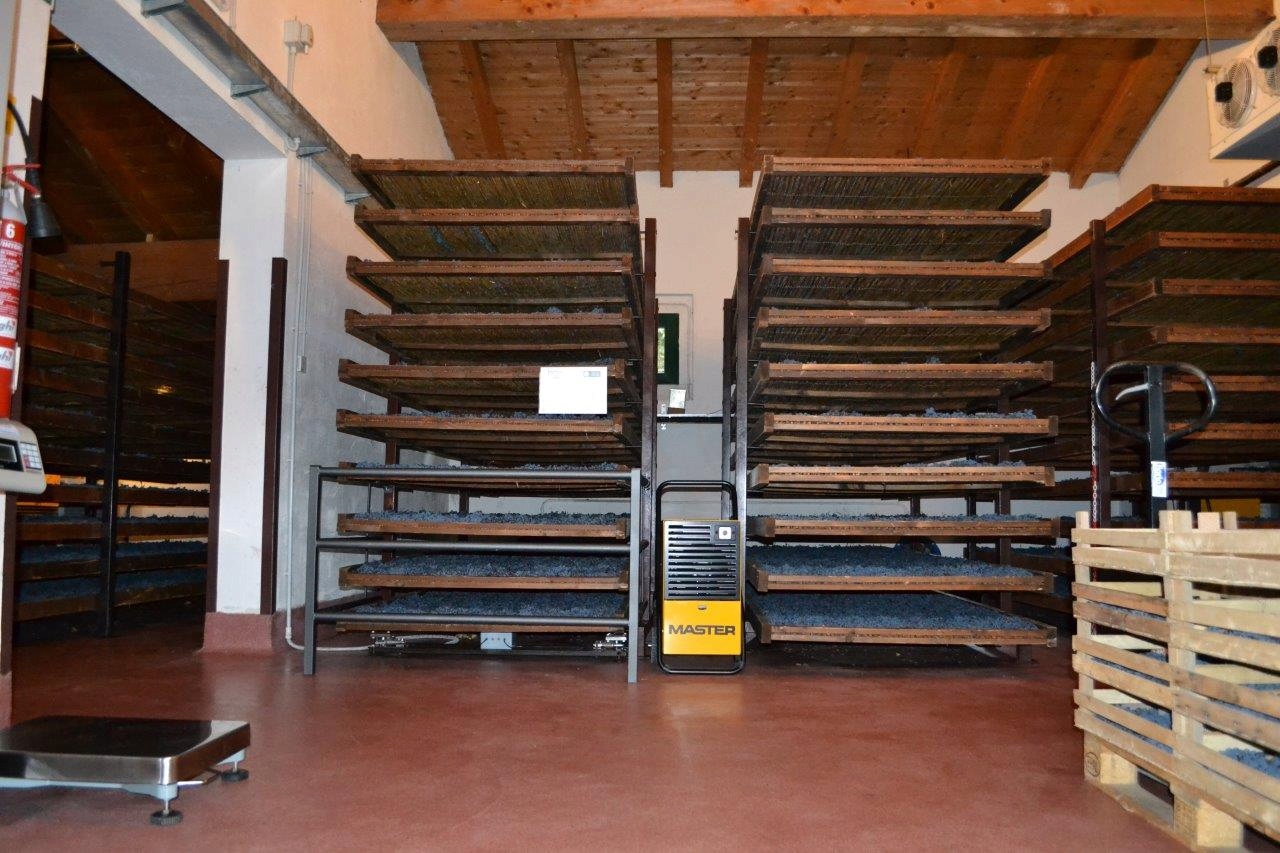 50cf4df94035b8676cfa3d287e02