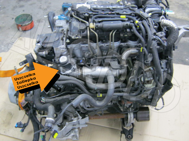 Zaślepka Egr Ford Peugeot Citroen 1.4 1.6 Hdi Tdci Za 16,90 Zł Z Gniezno - Allegro.pl - (8323815038)