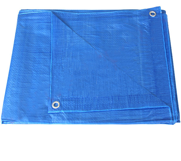 

Plandeka Ogrodowa Folia Niebieska Gruba 2x3