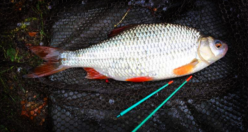 UNIWERSALNY KOŁOWROTEK MISTRALL VIGO RD 4000 Rozmiar 4000