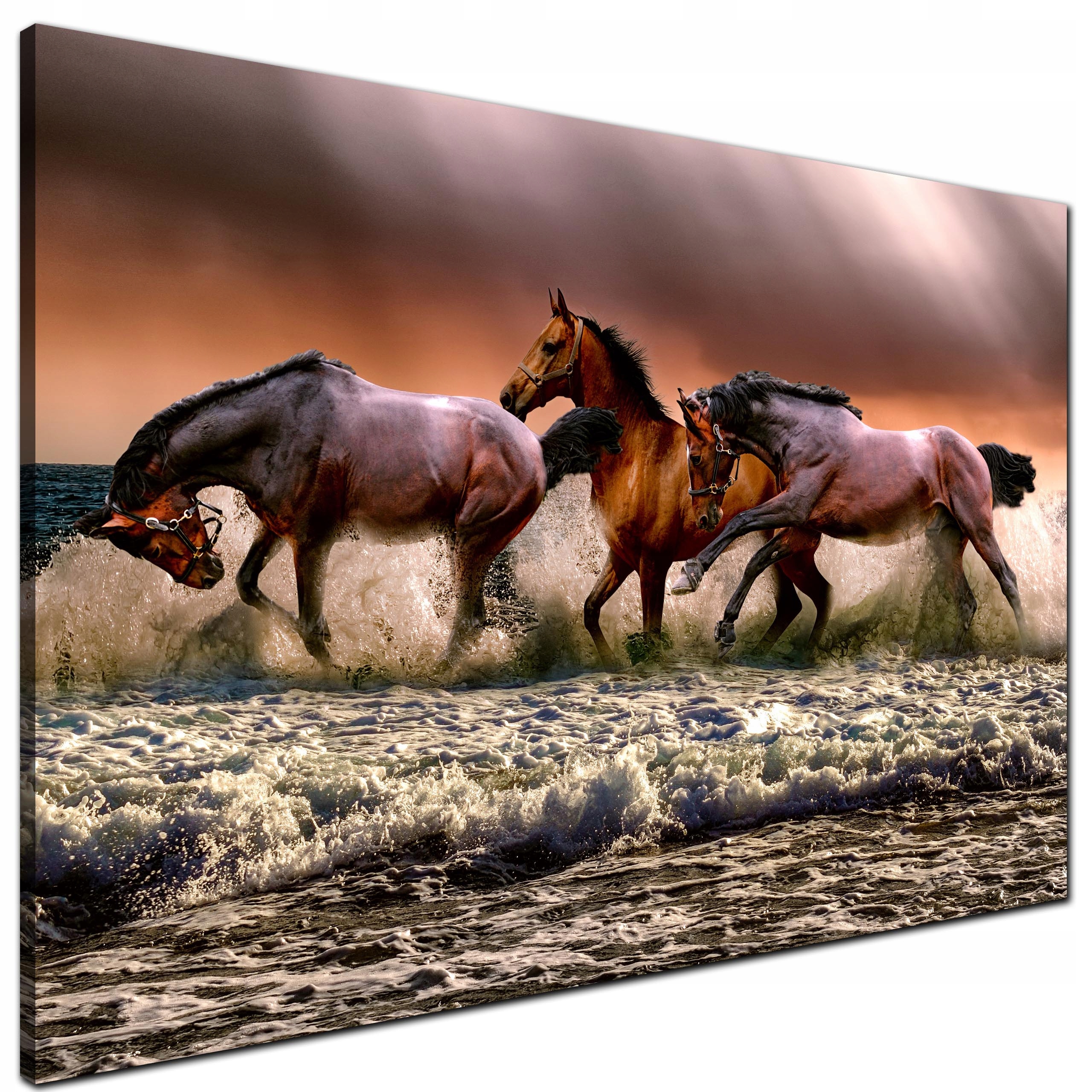 

Obraz do Sypialni Konie w morzu