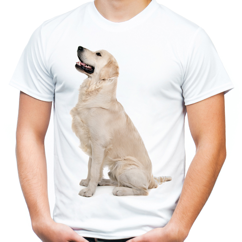 

Koszulka z Labradorem psem Labrador t-shirt Hq -s