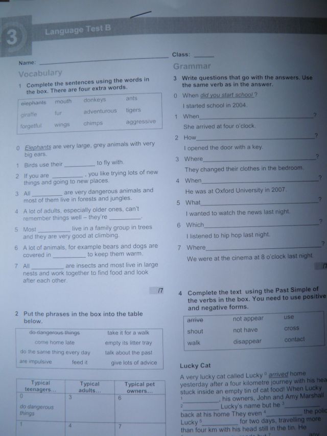 English Class A1 Testy Pdf Chomikuj English Class A2.TESTY,SKILLSY,odpowiedzi! - 7245332742 - oficjalne archiwum allegro