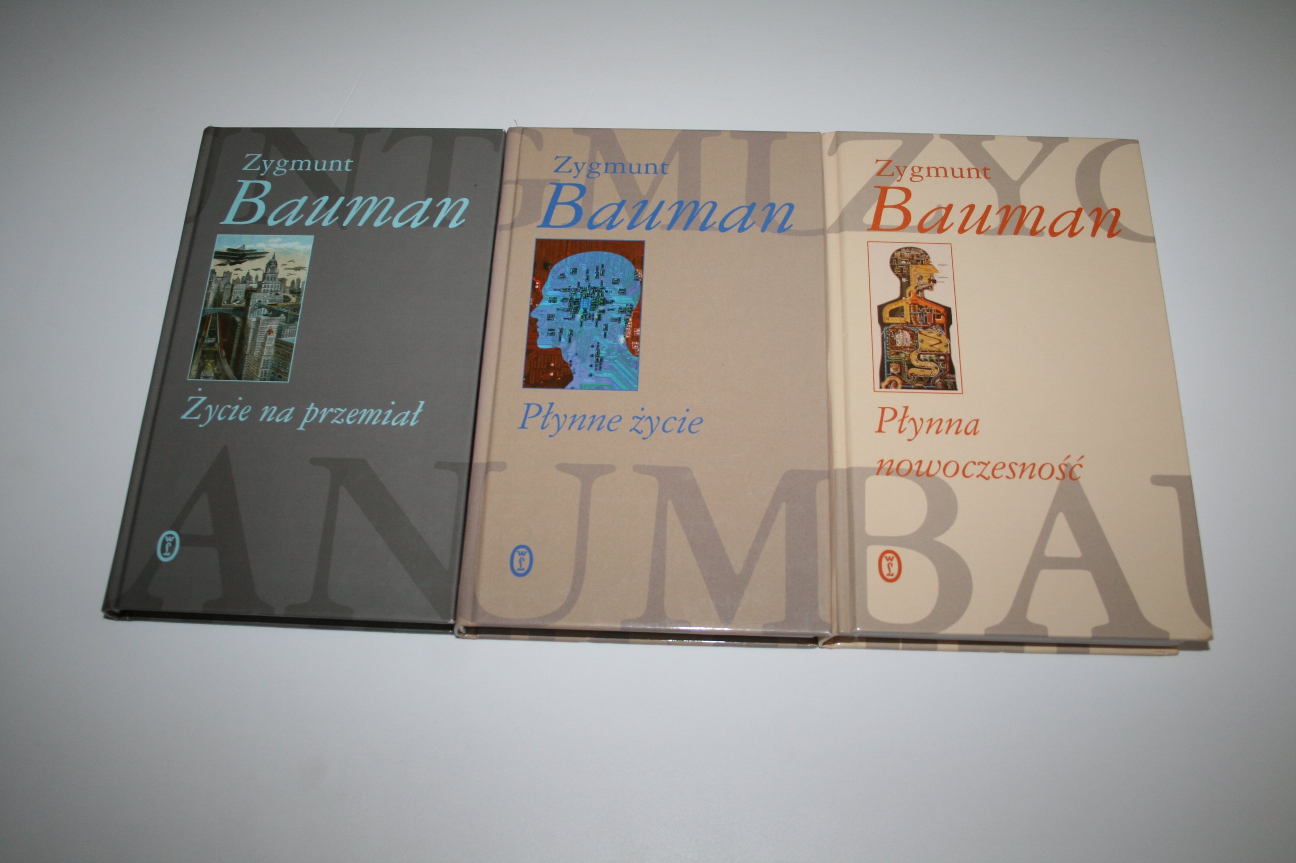 BAUMAN PYNNA NOWOCZESNOSC PDF