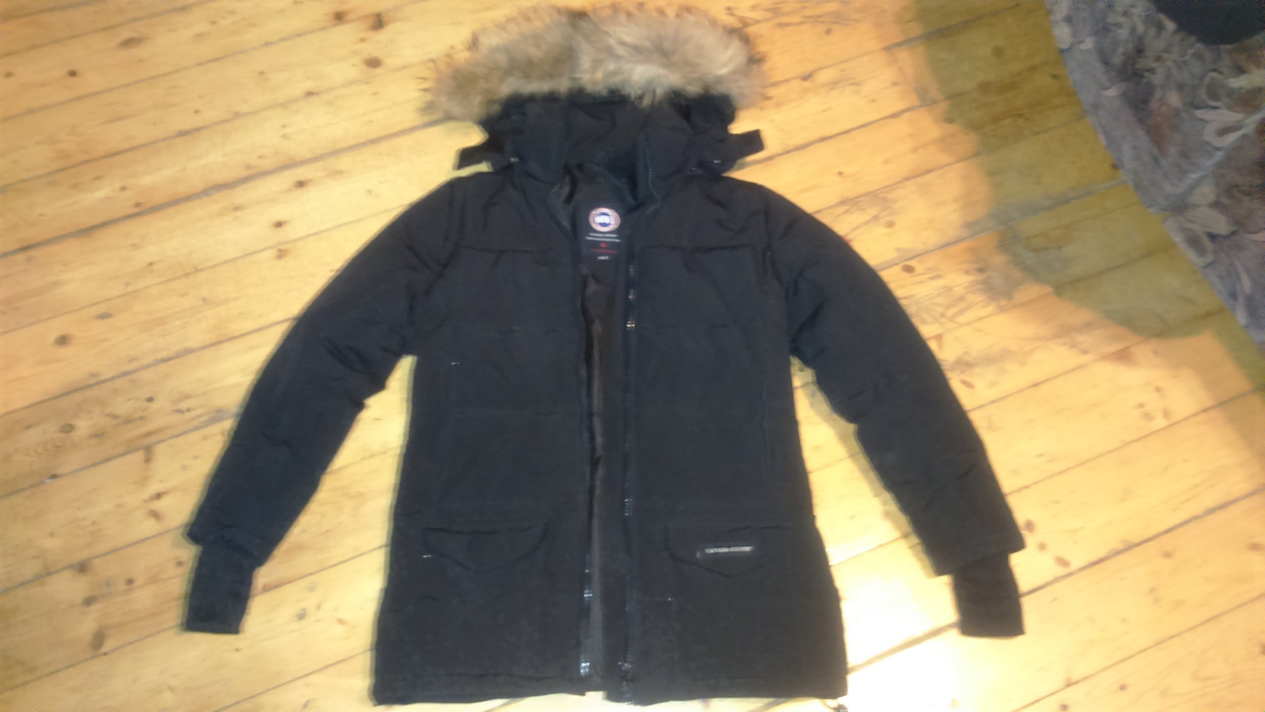 canada goose Sollaris zimowa canada goose Sollaris zimowa