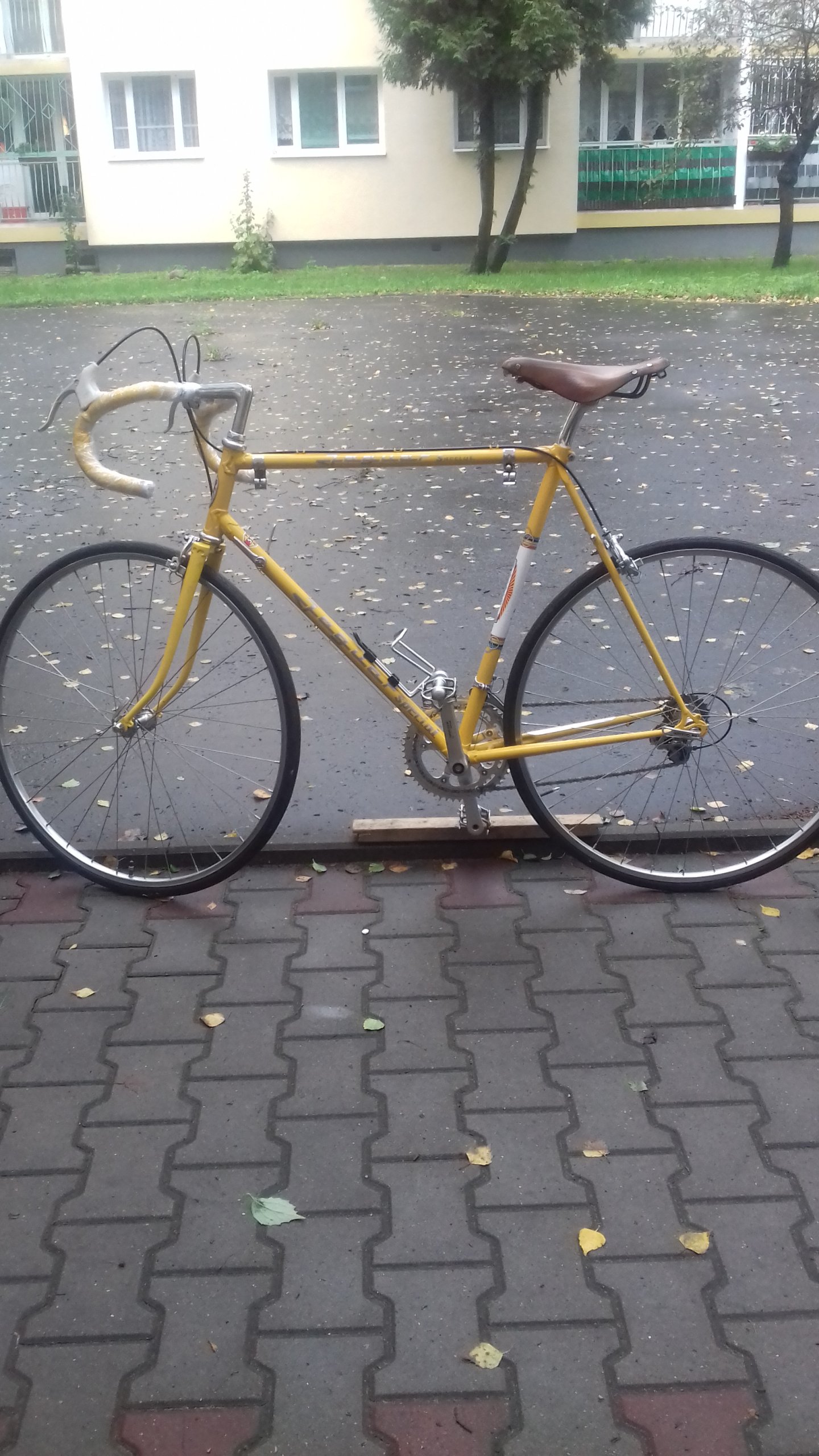 Rower kolarski Jaguar Special 7307479722 oficjalne archiwum allegro