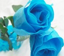 Róża niebieski bulwy/cebule/kłącza w opakowaniu zbiorczym
