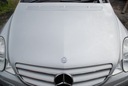 W251 r klasa, класс капот покрытие двигателя перед c7754, купить из Польши