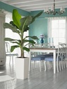 фото mini №13, Flowerpot lechuza cubico color 30 muszkat
