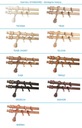 фото mini №9, Cornice double 28 mm 200 centimeters