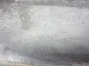 Ford oe 4r339e313ad2, купить в Украине