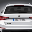 Эмблема значок logo skoda vrs rs octavia4, купить из Польши