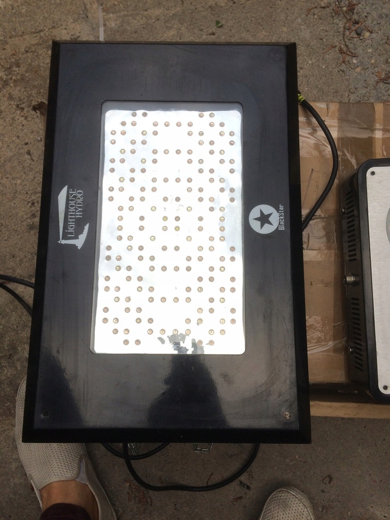 Blackstar LED 500w kwitnienie grow growbox USA