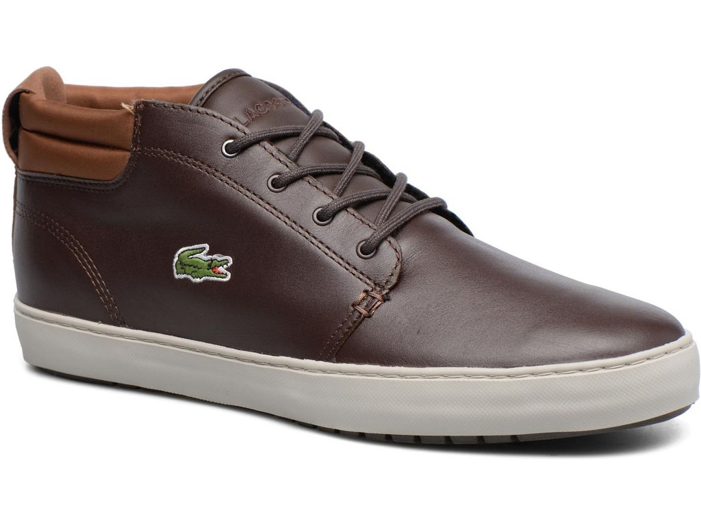 Lacoste ampthill store terra 317