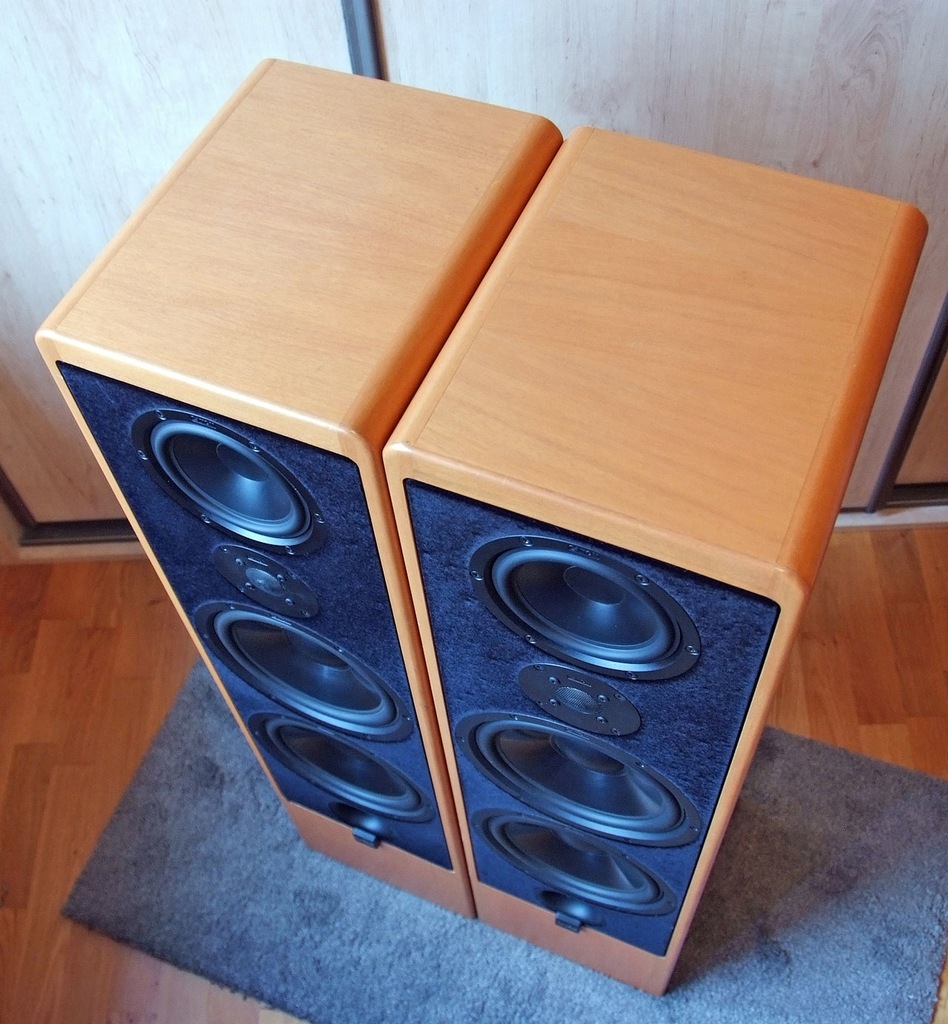 CANTON ERGO 91 DC Kolumny 300Watt Buk 7655558703 oficjalne archiwum Allegro