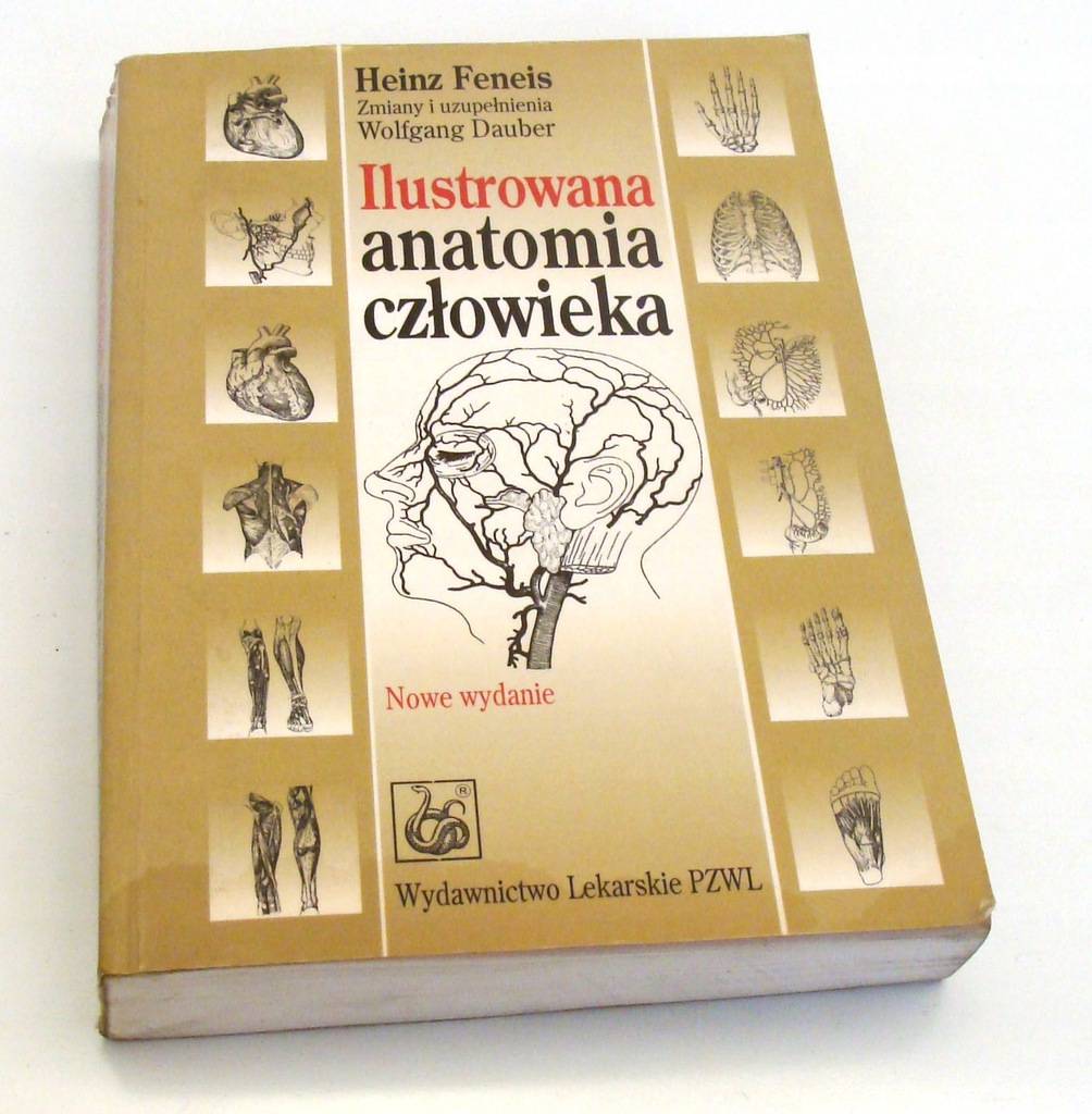 Ilustrowana anatomia człowieka Feneisa Feneis