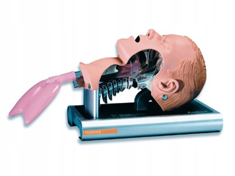 głowa do intubacji Ambu Airway Management Trainer