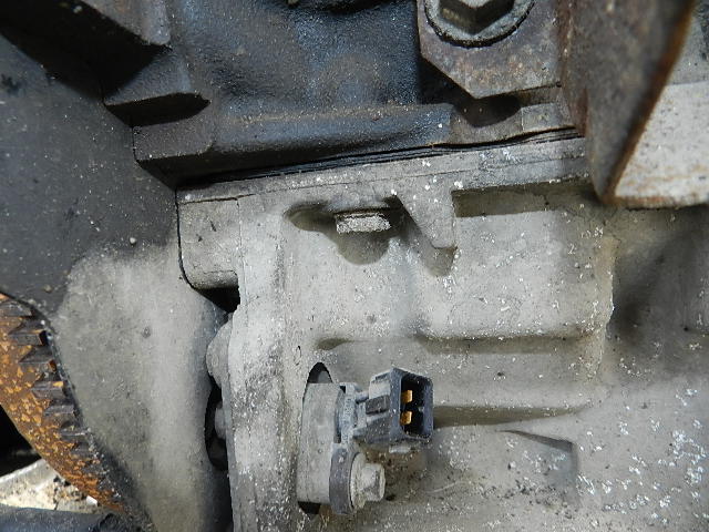 czujnik wału focus mk1 1.8 tddi