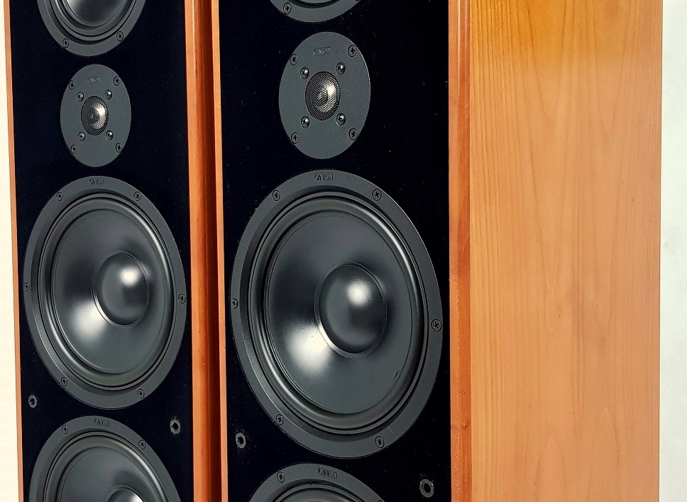 CANTON ERGO SC-L KOLUMNY STEREO - WYBITNE - 7739817828 - oficjalne ...