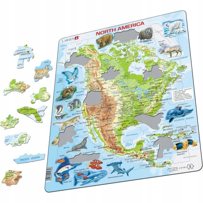 LARSEN MAPA FIZYCZNA AMERYKI PÓŁNOCNEJ PUZZLE 19
