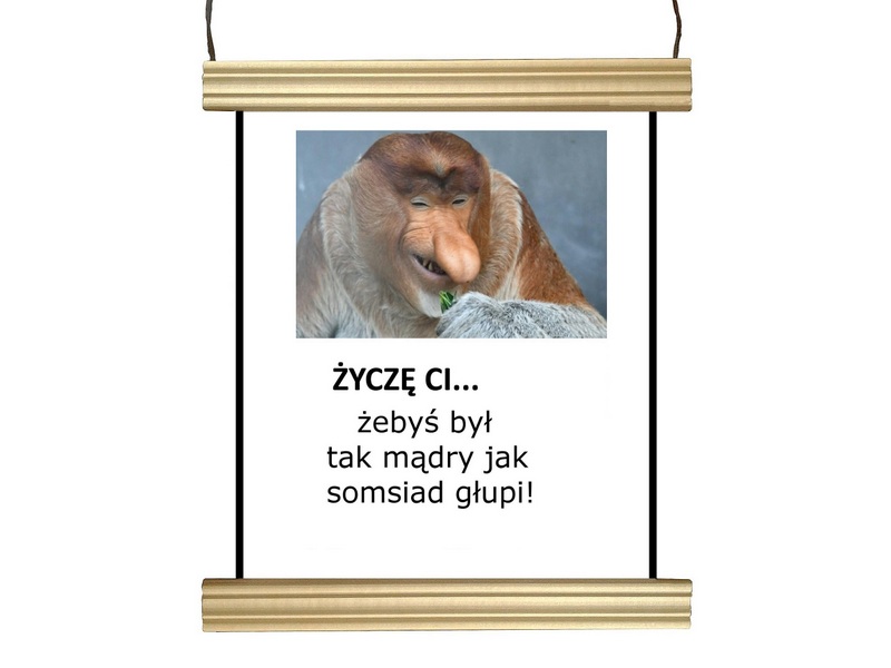 PREZENT na URODZINY IMIENINY plakat NOSACZ JANUSZ