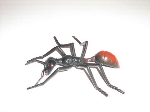 INSEKTY OWADY ROBALE nr B MRÓWKA CZERWONY ODWŁOK