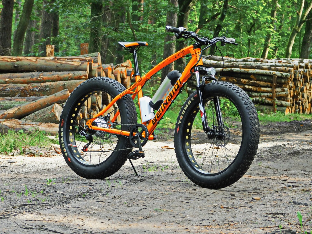 Fat Bike Gdynia CAVALIER ROWER ELEKTRYCZNY 250W 6950925873 oficjalne archiwum Allegro