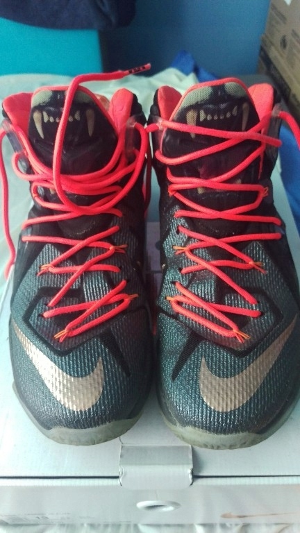 Buty Nike Lebron 12 Rose