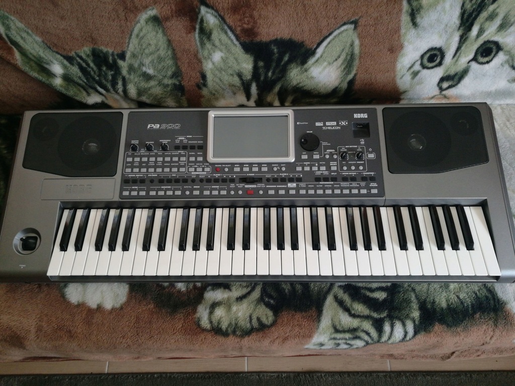 Keyboard KORG PA 900 + futerał Romanowicz