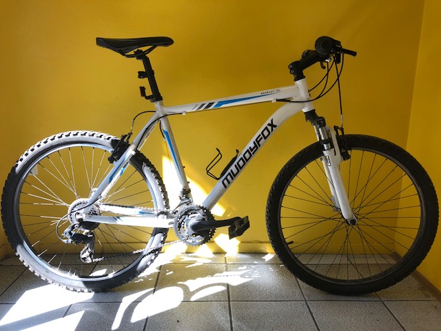 anarchy 100 muddyfox