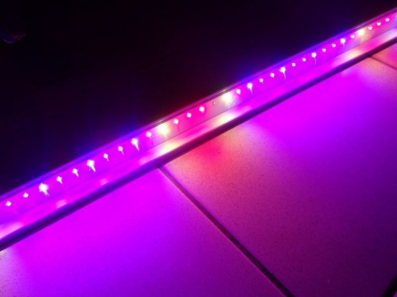LAMPA LED GROW NEONICA SILVER PRO2000 ODBIÓR OSOB