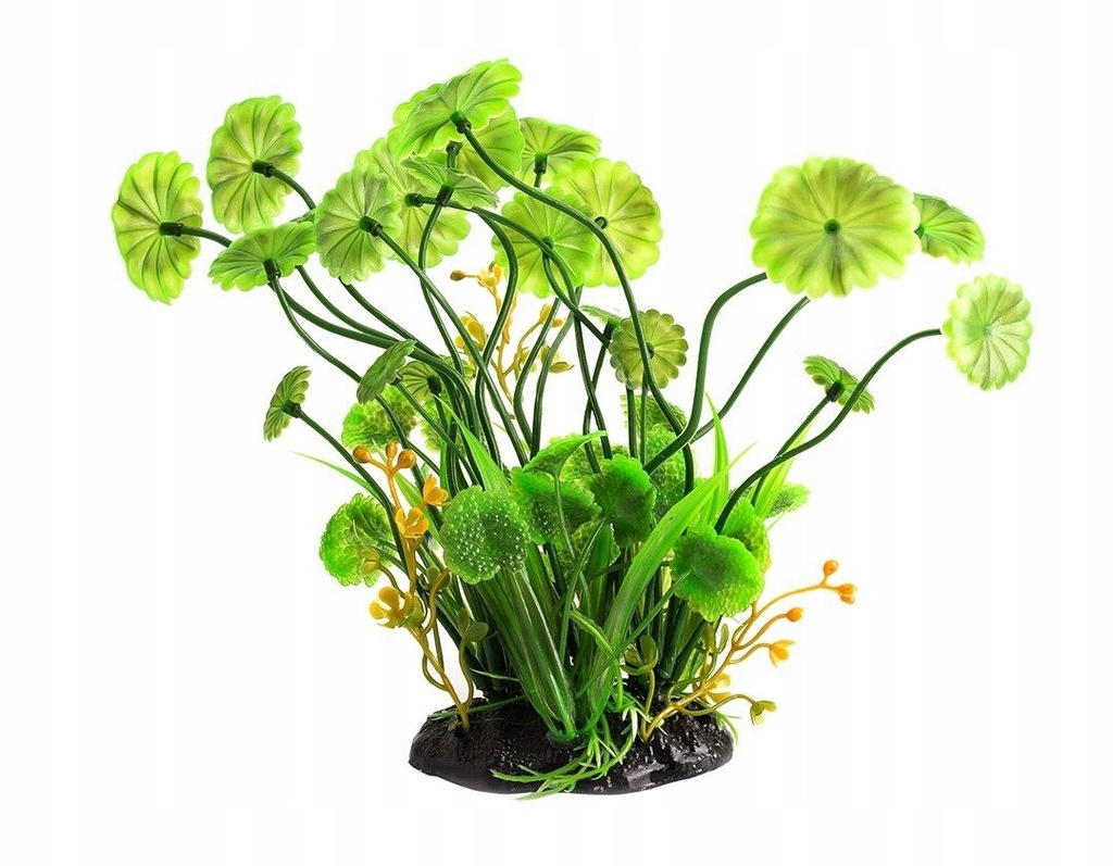 ROŚLINY DO TERRARIUM DLA ŻÓŁWIA WODNO-LĄDOWEGO