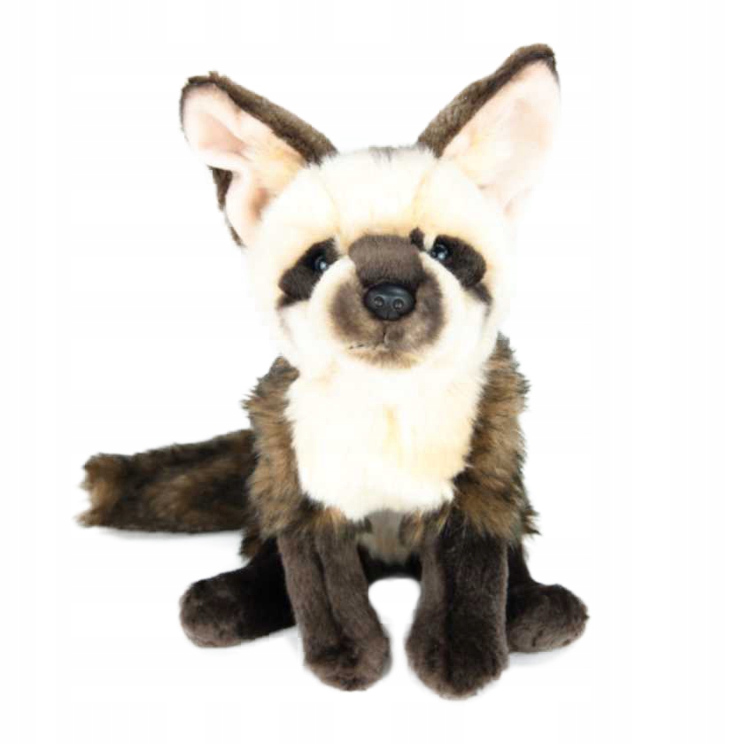 Otocjon wielkouchy 25 cm