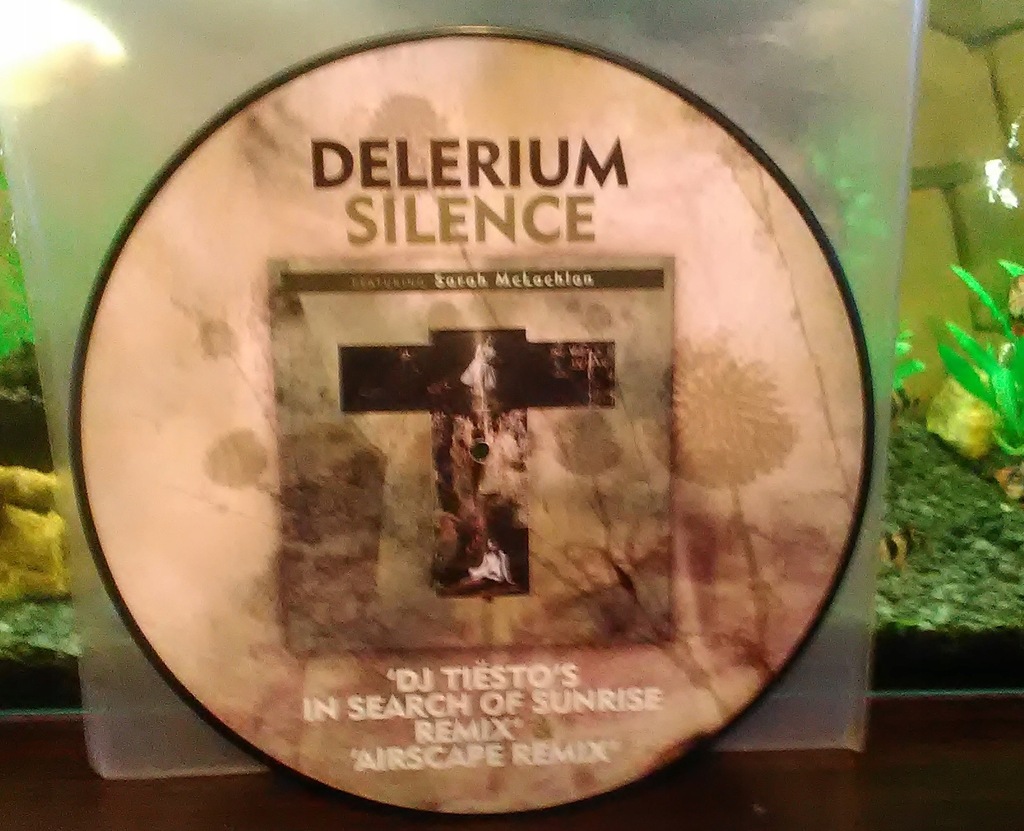 delerium - silence (tiesto remix) PICTURE DISC