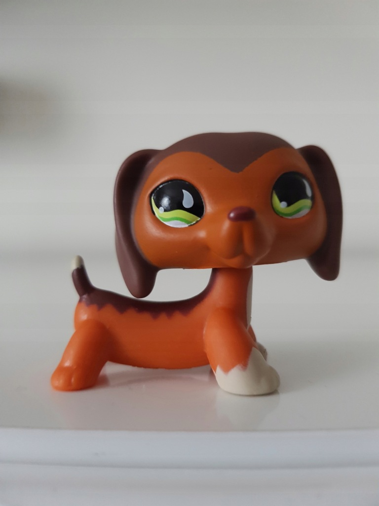 LPS jamnik Savannah