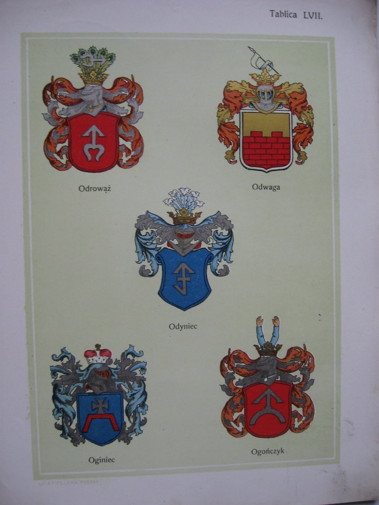 HERBY szlachty Odrowąż, Odyniec LITOGRAFIA 1908