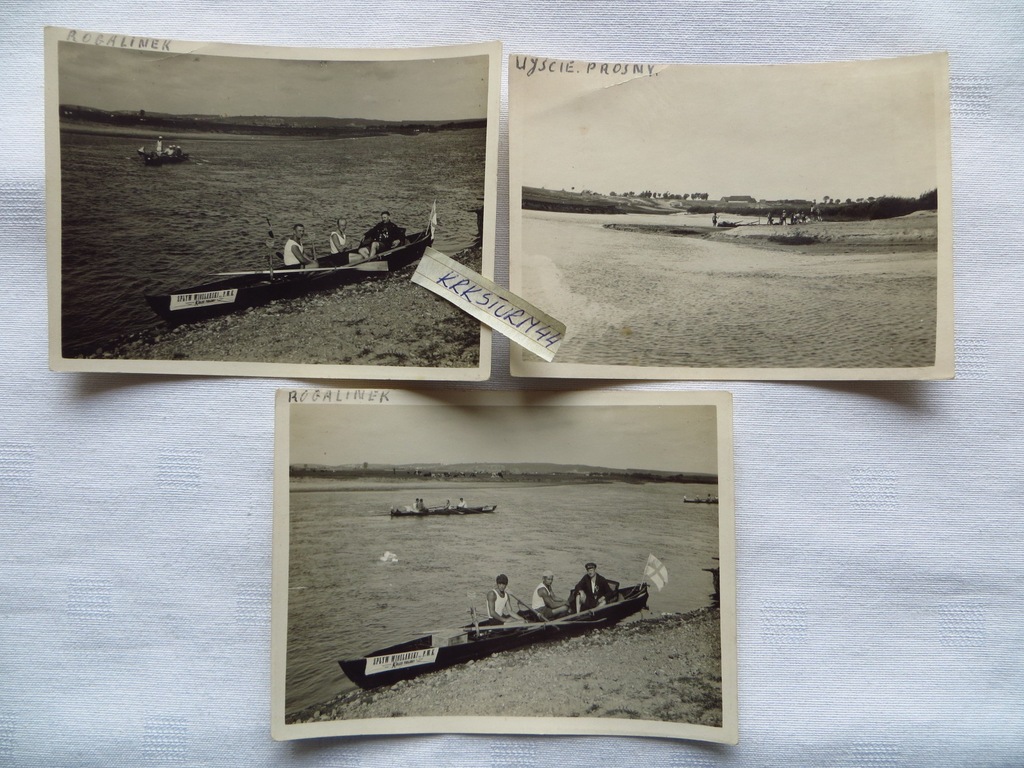 SPŁYW WIOŚLARSKI PWK-1929-KAJAKI-3 foto-ROGALINEK