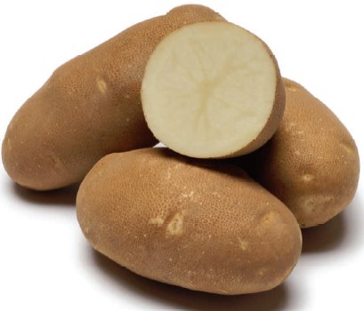 ziemniaki russet burbank stara odmiana