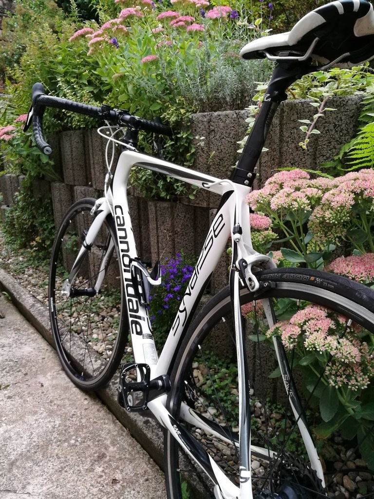 cannondale cena