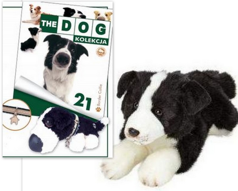 Dog Kolekcja 21 Border Collie+Leżący owczarek 30cm