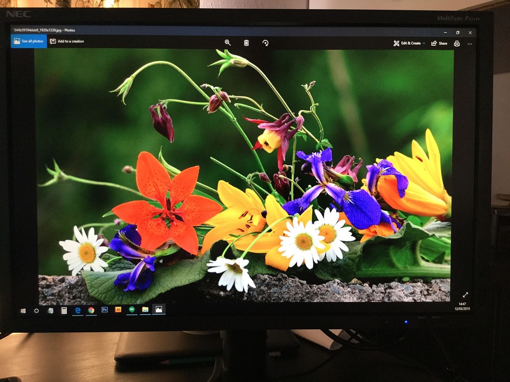 monitor NEC MultiSync P221W  22"  LCD S-PVA
