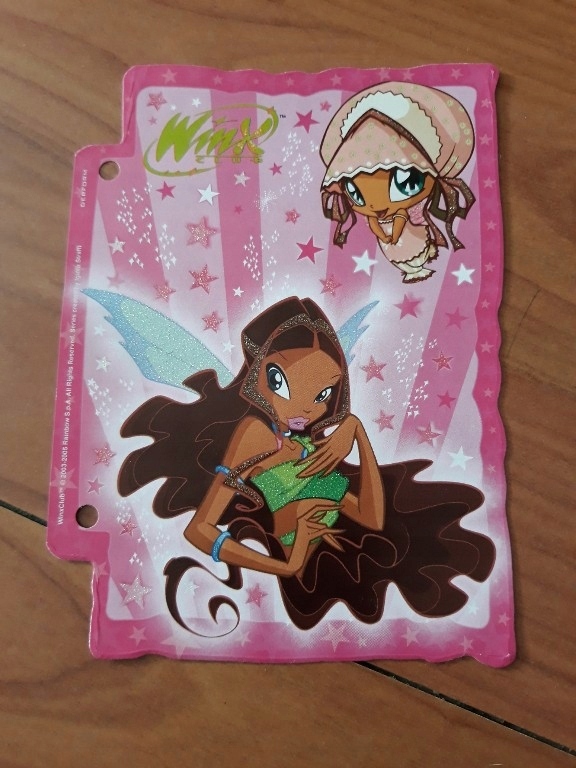 wkłady do segregatora karteczki WINX brokat mała