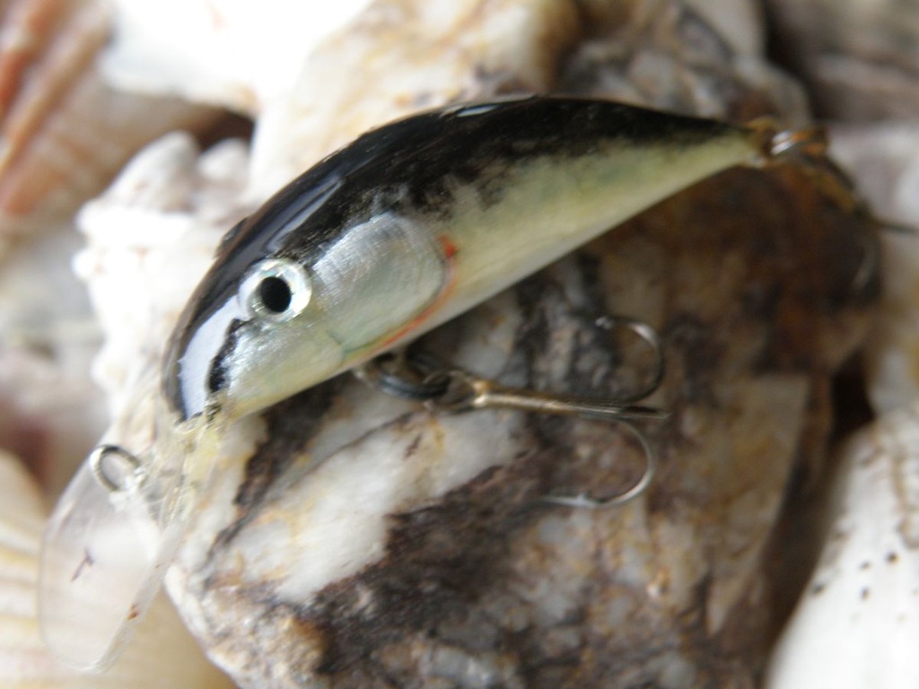 WOBLER W NAJLEPSZYM WYDANIU. Hand Made MOREL-TEAM
