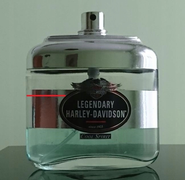 Legendary HARLEY DAVIDSON Cool Spirit