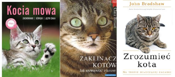 Kocia mowa + Zaklinacz kotów + Zrozumieć kota