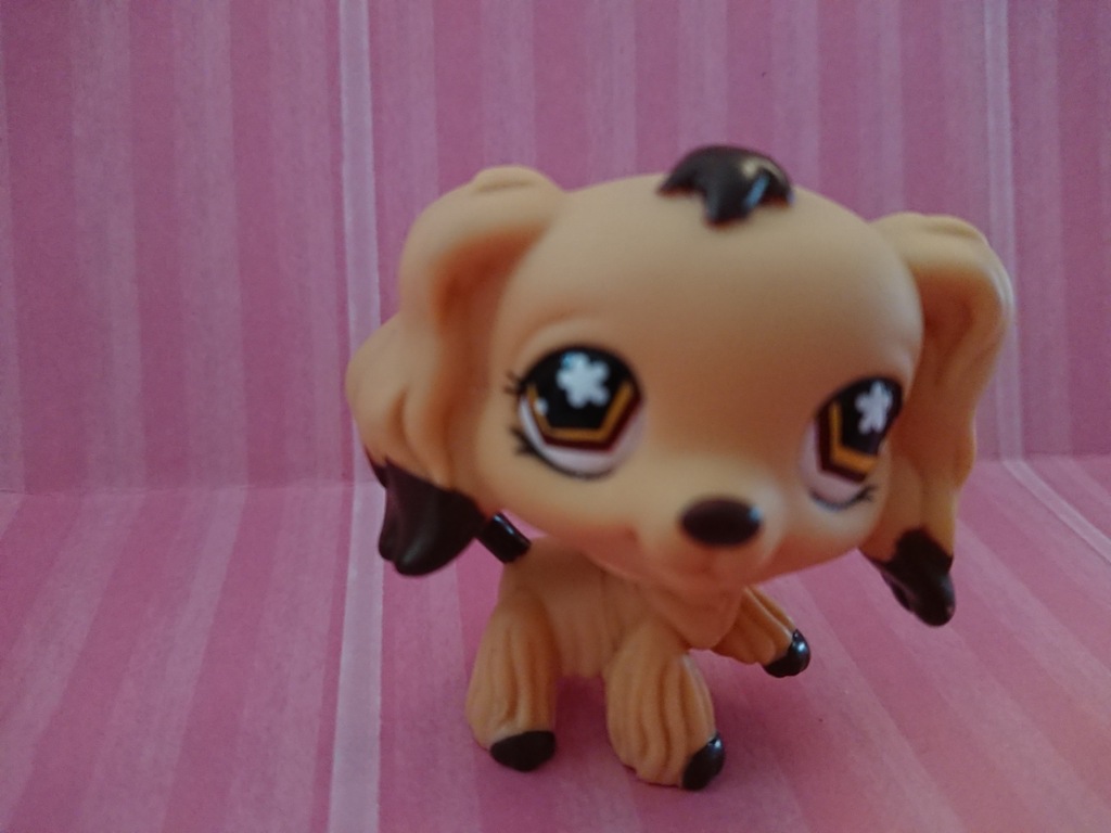 Littlest Pet Shop Cocker Spaniel #575 Oryginał