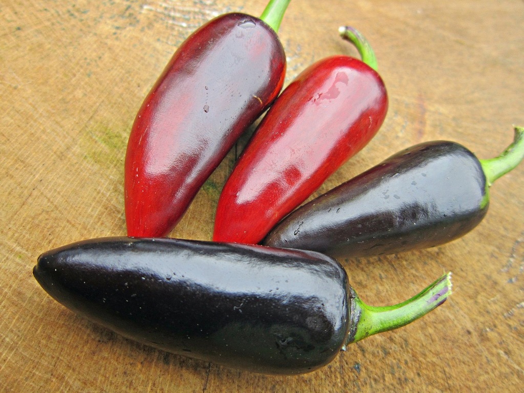 WĘGIERSKA PAPRYKA CHILI-BLACK HUNGARIAN,30 nasion