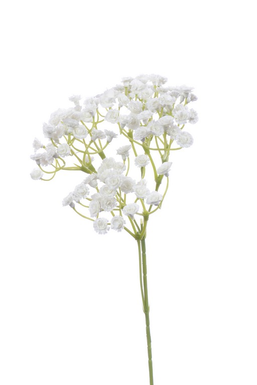 Gipsówka gumowa 48cm biała -Dalia-RP-