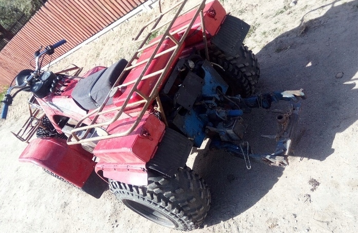 Quad ZIM 350