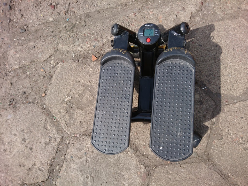 Stepper skrętny EVO sport